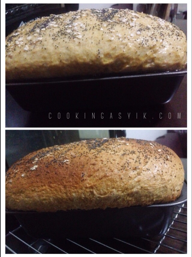Membuat roti oatmel gandum honey oat bread enak mudah